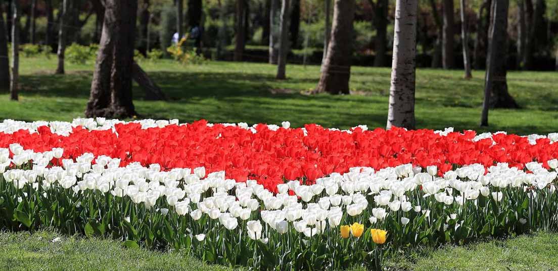 پارک ملت کیش